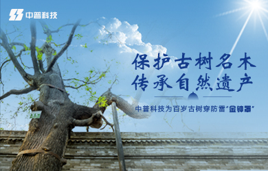 古樹防雷接地系統(tǒng) 古樹防雷接地系統(tǒng)